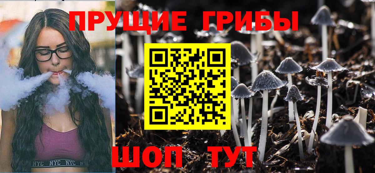 Галлюциногенные грибы MAGIC MUSHROOMS  Галлюциногенные грибы Psilocybe  Нарткала  как найти   Вход с VPN 