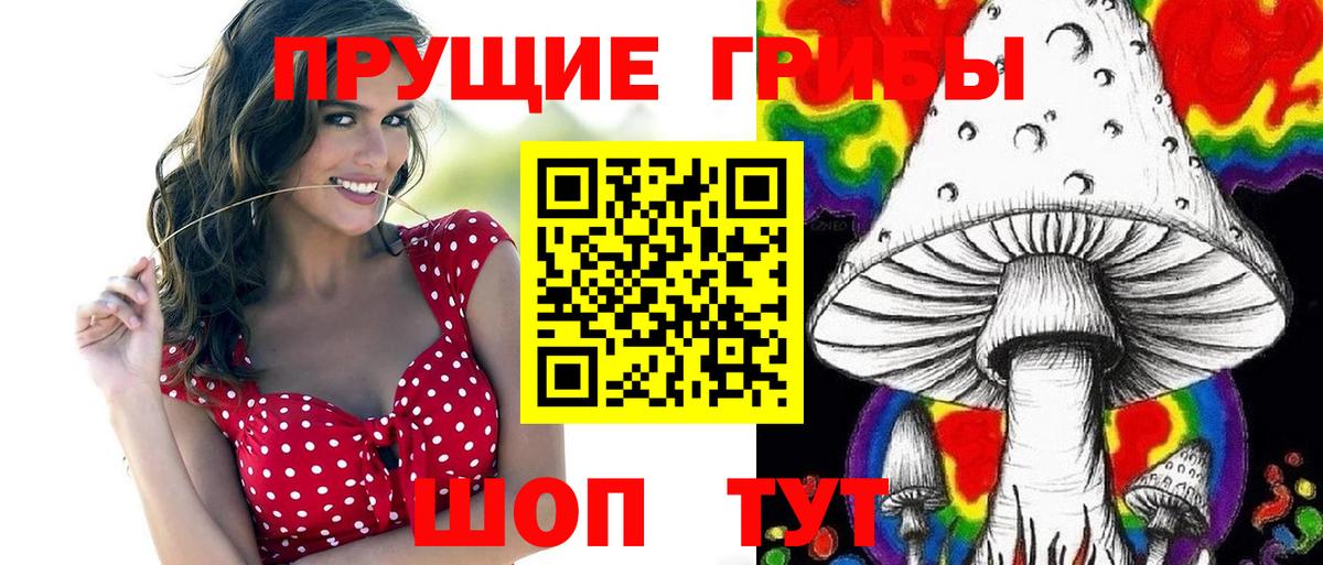 Псилоцибиновые грибы мицелий Нарткала